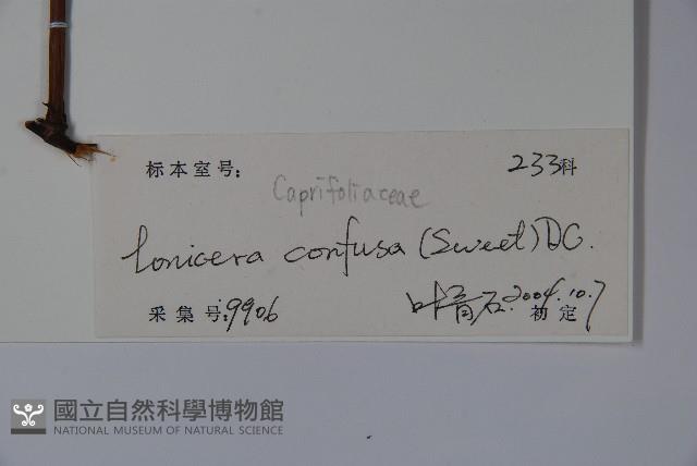 山銀花藏品圖，第2張
