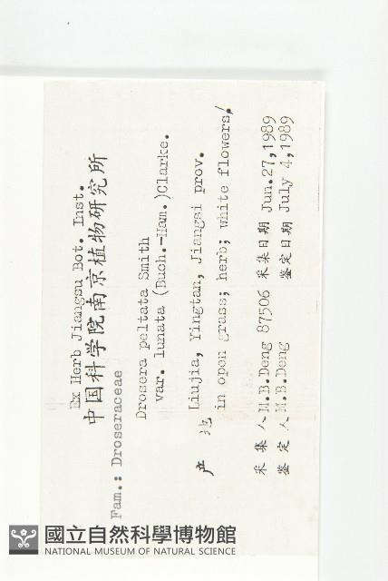 茅膏菜藏品圖，第2張