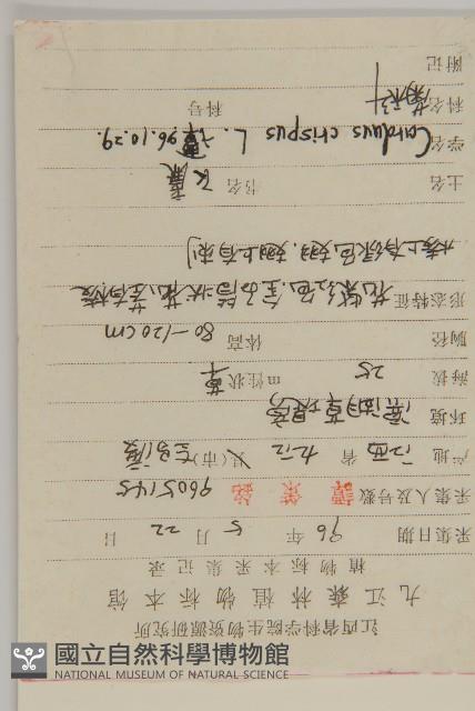 飛廉藏品圖，第2張