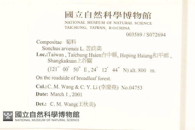 苦苣菜藏品圖，第2張