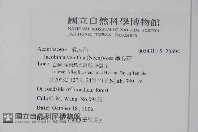 串心花藏品圖，第2張