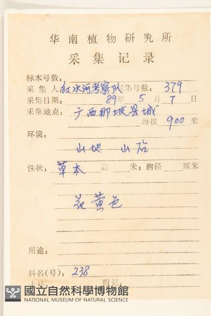 白仔菜藏品圖，第2張