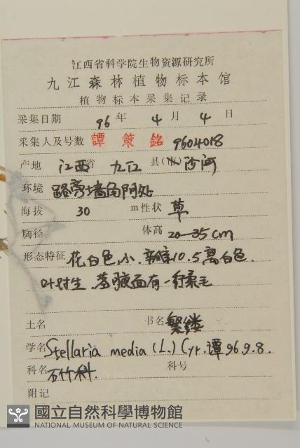 繁縷藏品圖，第2張