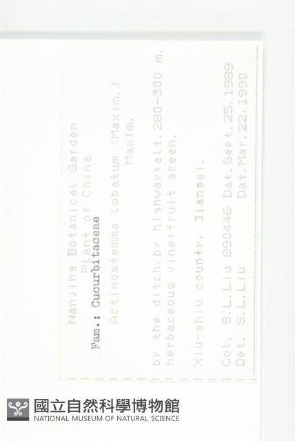 合子草藏品圖，第2張