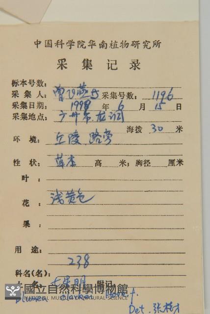 七里明艾納香藏品圖，第2張