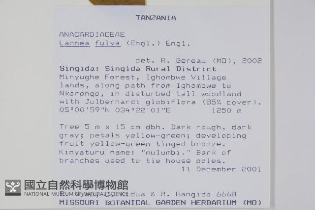 登錄號:S096294藏品圖，第2張