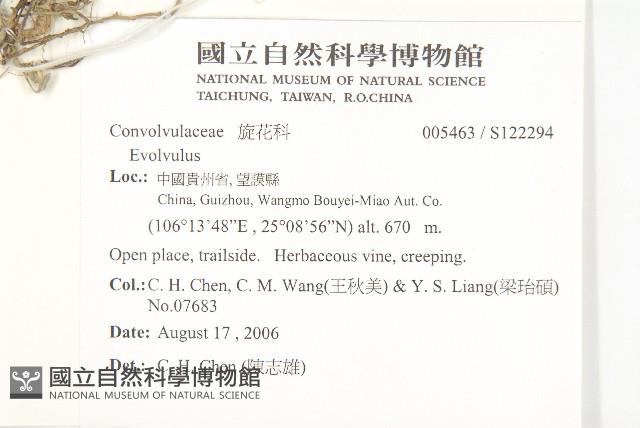 登錄號:S122294藏品圖，第2張