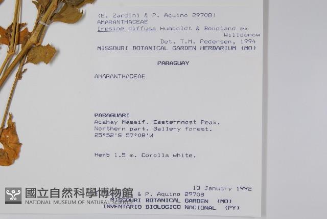 登錄號:S062294藏品圖，第2張