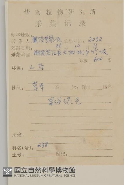 狼把草藏品圖，第2張