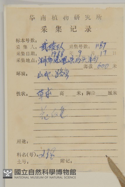香青藏品圖，第2張