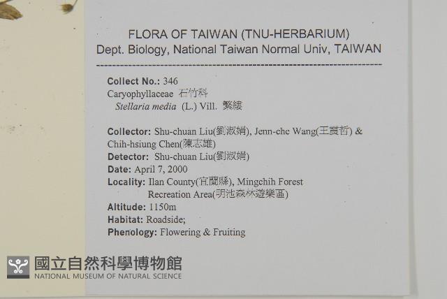 繁縷藏品圖，第2張