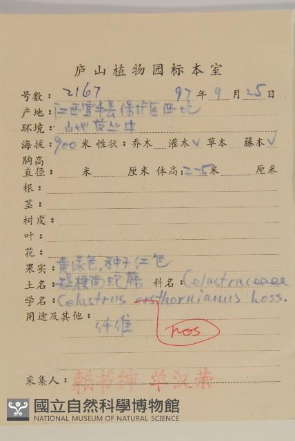 短梗南蛇藤藏品圖，第2張