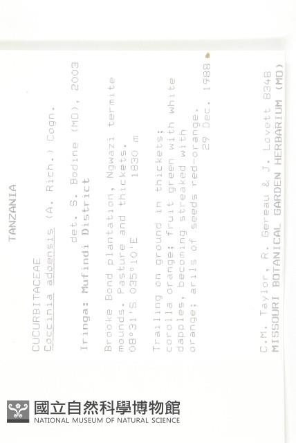 登錄號:S093494藏品圖，第2張