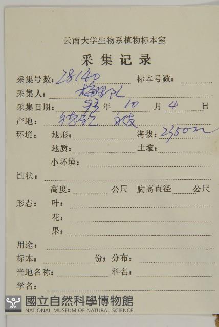 牛尾蒿藏品圖，第2張