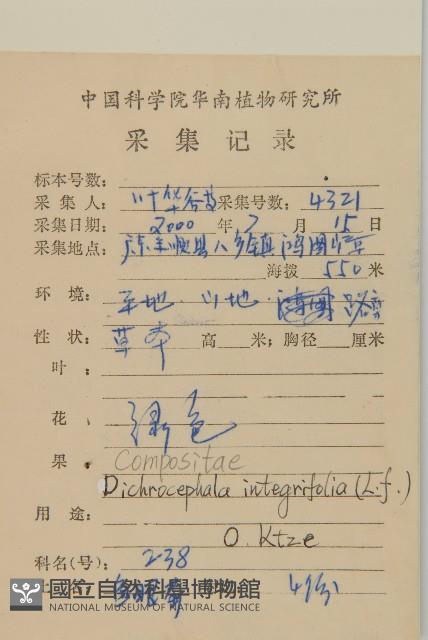 茯苓菜藏品圖，第2張