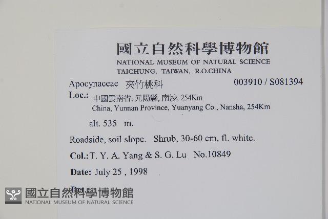 登錄號:S081394藏品圖，第2張