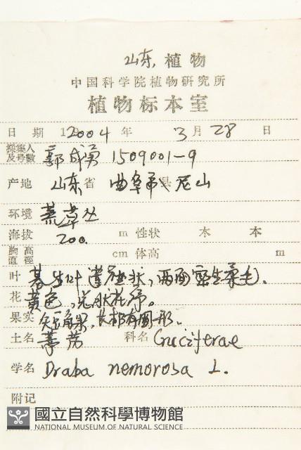 葶藶藏品圖，第2張