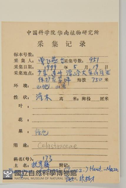 扶芳藤藏品圖，第2張