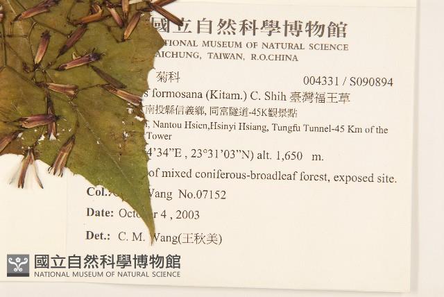 臺灣福王草藏品圖，第2張