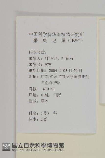 厚皮菜藏品圖，第2張