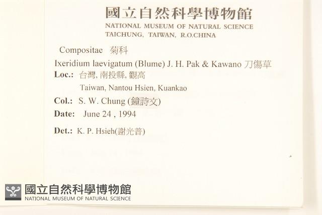 刀傷草藏品圖，第2張