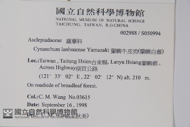 蘭嶼牛皮消、蘭嶼白薇藏品圖，第2張