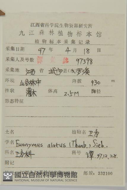 衛矛藏品圖，第2張