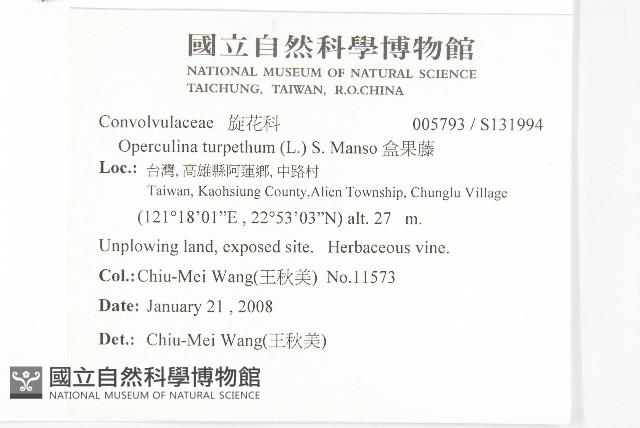 盒果藤藏品圖，第2張