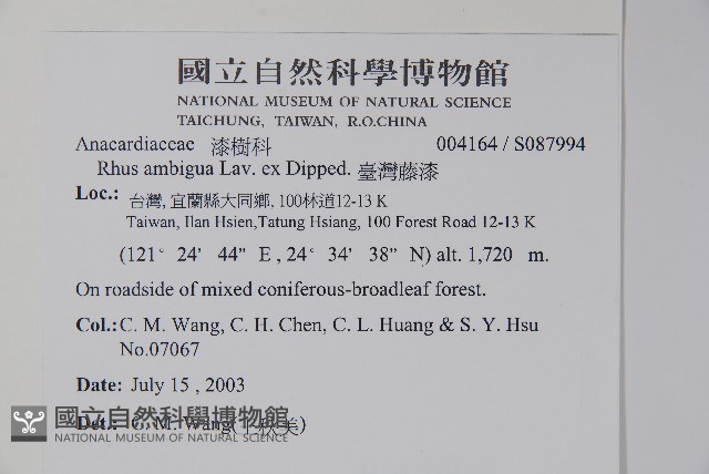 臺灣藤漆藏品圖，第2張