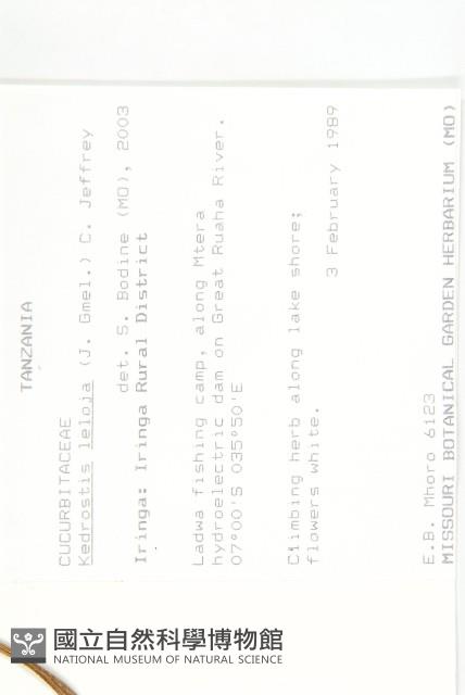 登錄號:S093594藏品圖，第2張