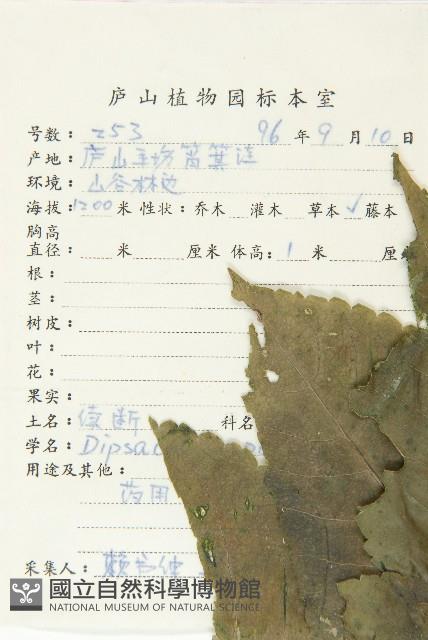 續斷藏品圖，第2張