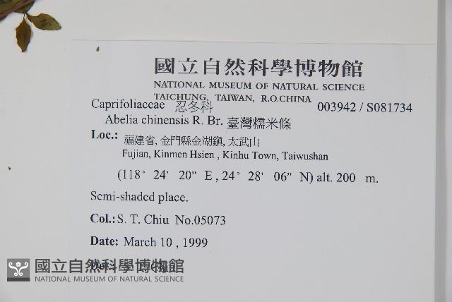 臺灣糯米條藏品圖，第2張