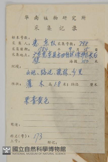 中國衛矛藏品圖，第2張