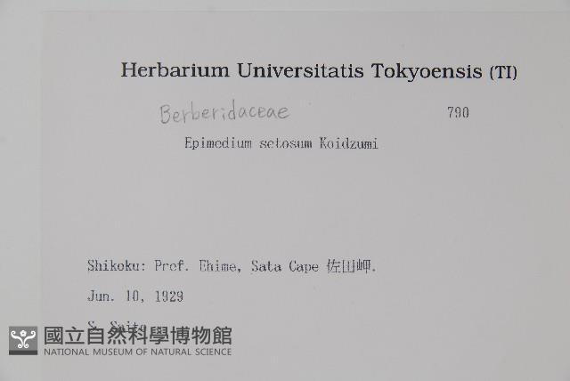 登錄號:S082234藏品圖，第2張