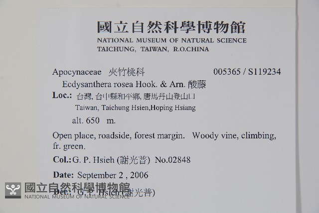 酸藤藏品圖，第2張