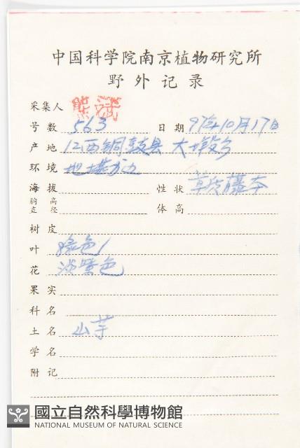 甘藷、地瓜藏品圖，第2張