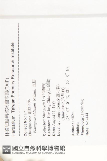 宜梧藏品圖，第2張