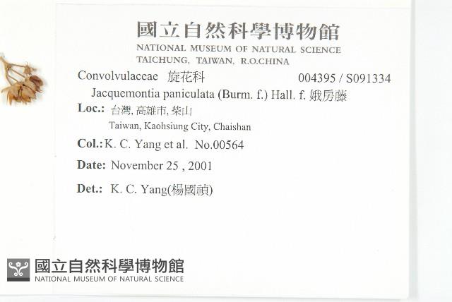 娥房藤藏品圖，第2張