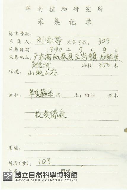 叉指葉栝樓藏品圖，第2張