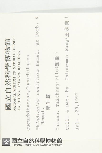 青牛膽藏品圖，第2張