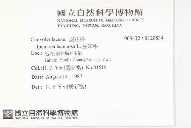 豆牽牛藏品圖，第2張