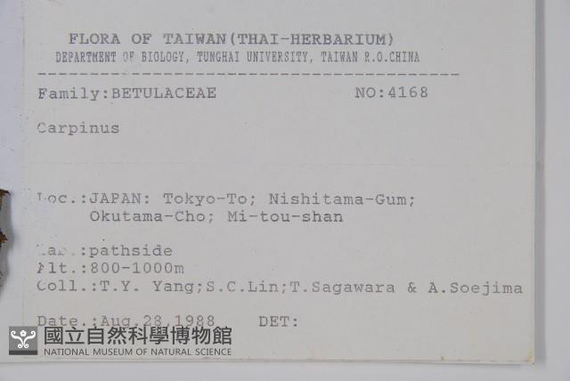 登錄號:S080834藏品圖，第2張