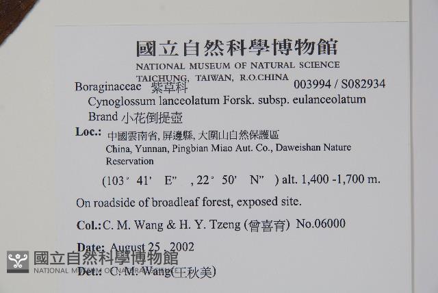 小花倒提壺藏品圖，第2張