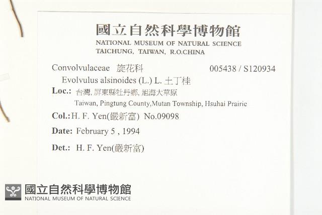 土丁桂藏品圖，第2張