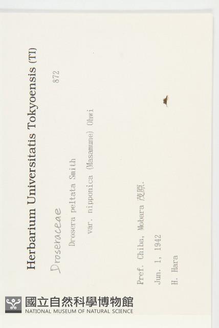 登錄號:S081934藏品圖，第2張