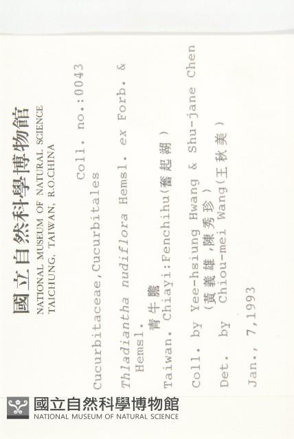 青牛膽藏品圖，第2張