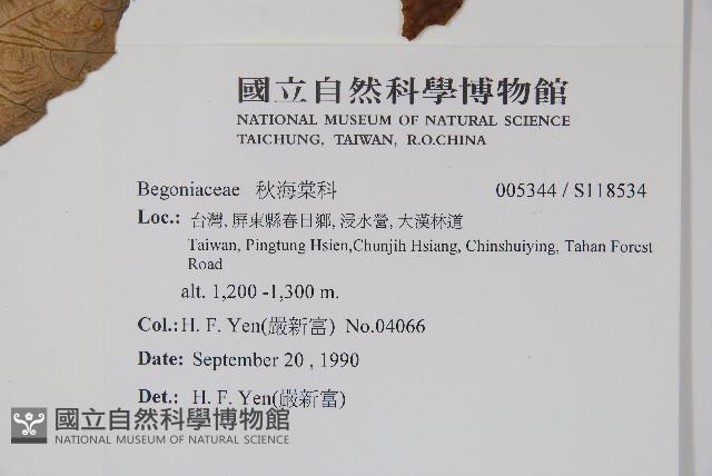 登錄號:S118534藏品圖，第2張