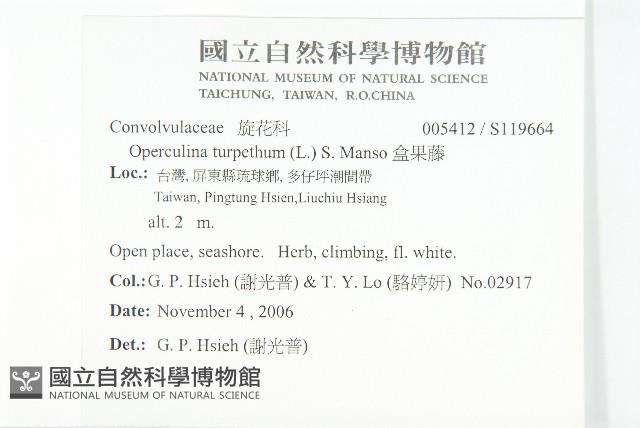 盒果藤藏品圖，第2張