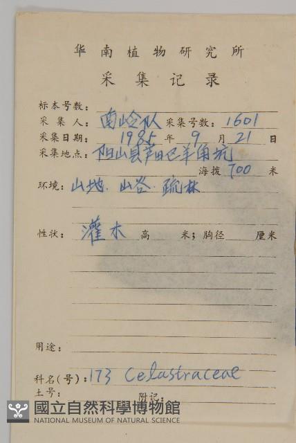 密花假衛矛藏品圖，第2張