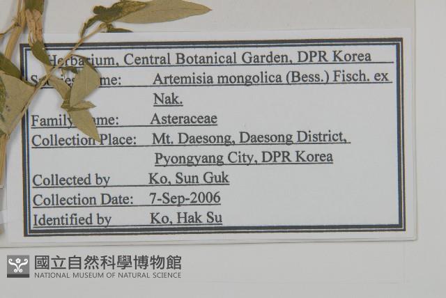 蒙古蒿藏品圖，第2張